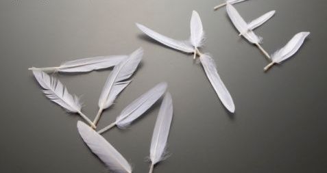 Gimanastas Retirados