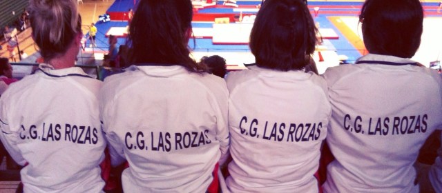 CLUB GIMNÁSTICO LAS ROZAS