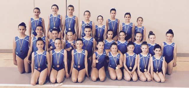 Deporte Infantil Club Gimnástico Las Rozas